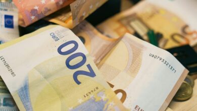 bilzenkrolle market impact analysis