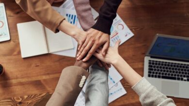 business innovation insights revealed