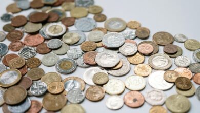 global economy insights revealed