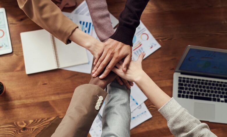 sustainable business bookkeeping guide