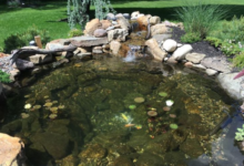 Cleaner Ponds: Tips and Techniques for a Healthy, Clear Water Garden