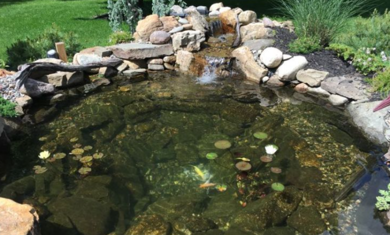 Cleaner Ponds: Tips and Techniques for a Healthy, Clear Water Garden