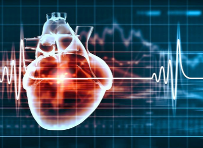 Why Does Your Heartbeat Tell a Story Bigger Than Biology?