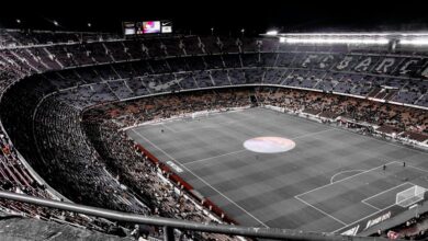 comprehensive entertainment platform overview