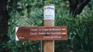 guest posting guidelines aelftech