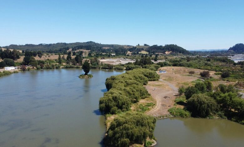 hd movie point overview