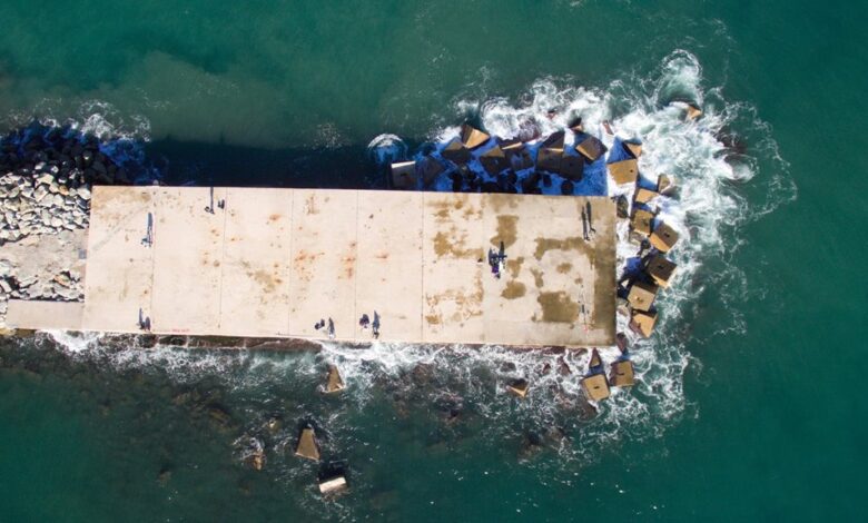 hotidols platform overview details