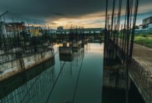 dynamic progress model development