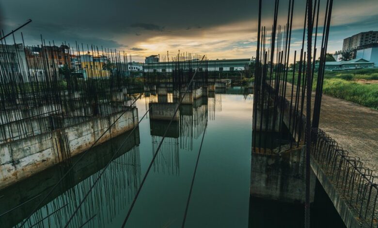 dynamic progress model development