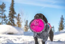 fusion of hyper nodes