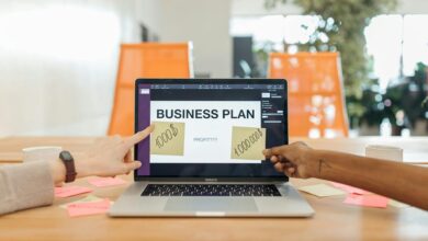 profit model strategy overview