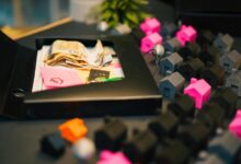 strategic growth development insights