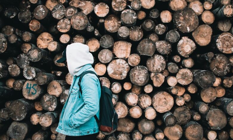 user activity and profile