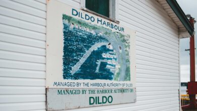 zenith edge authority mapping